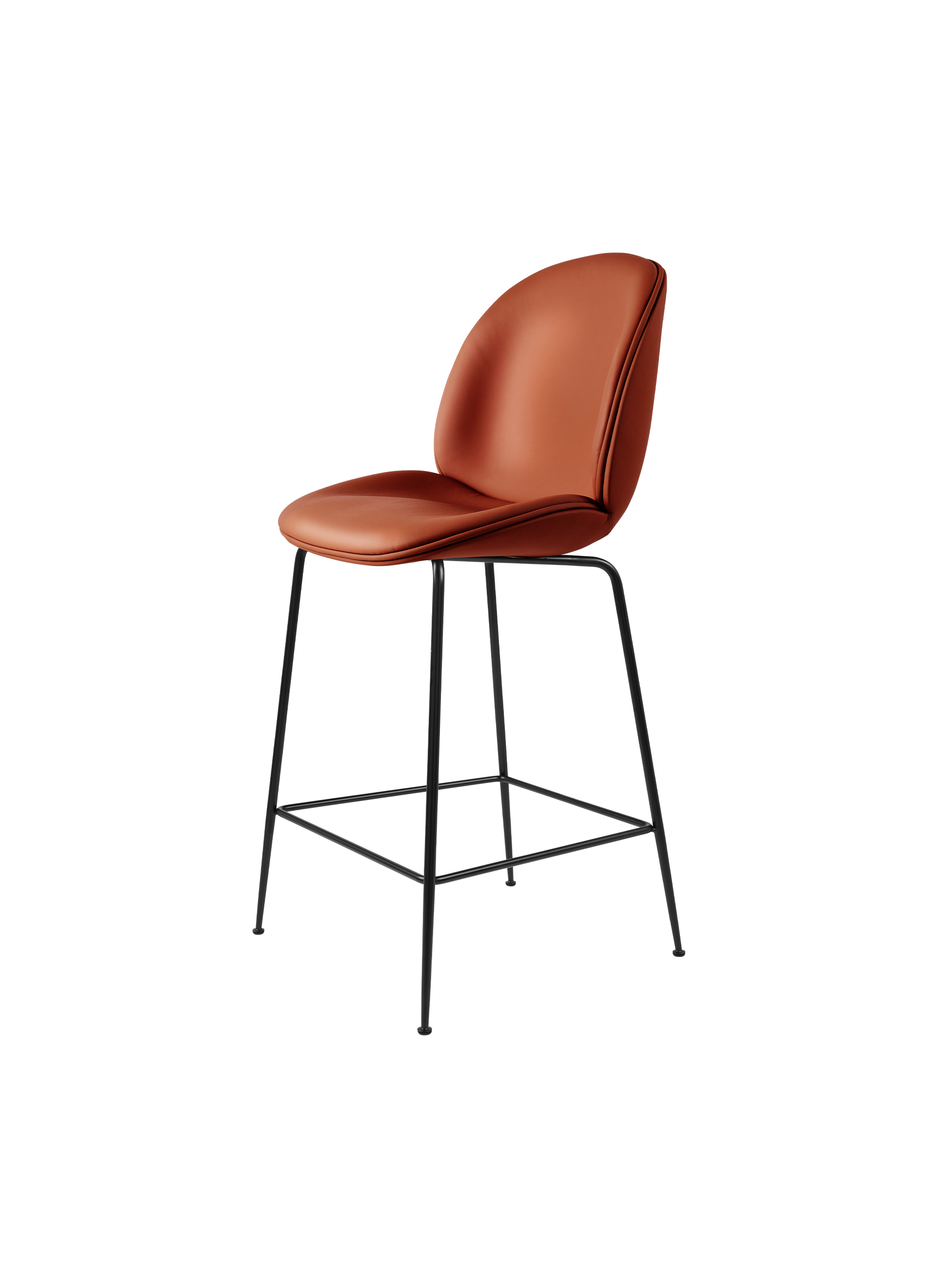 10148579_F3Q_Beetle+Counter+